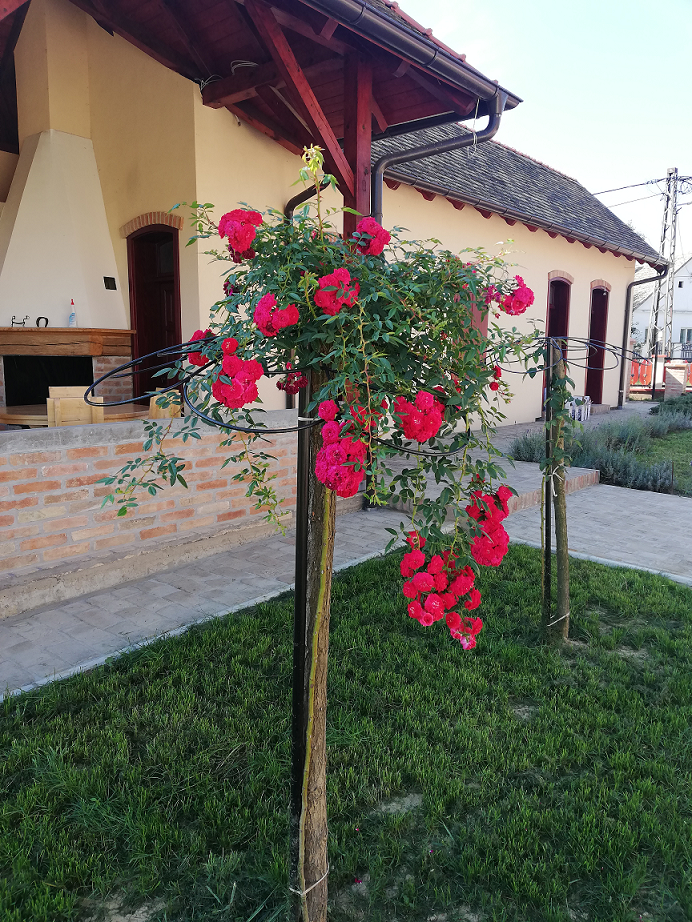 Ulaz u vinariju Vinarium